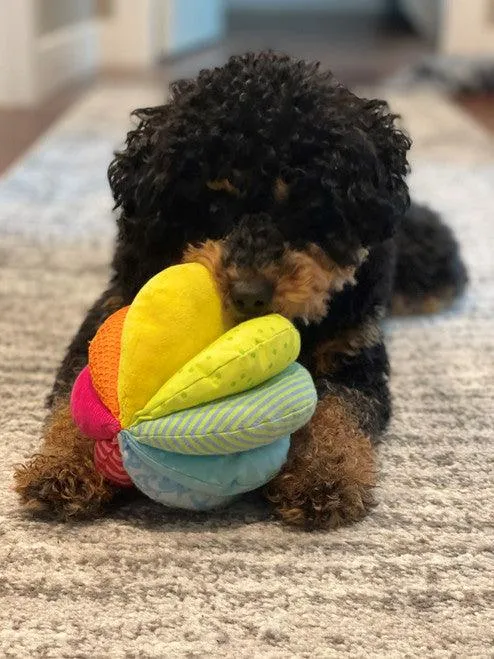 6" Rainbow Fabric Ball