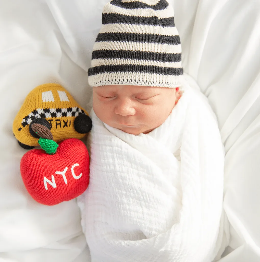 Baby Gift Set - NYC ABCs Book, Rattles, Doll
