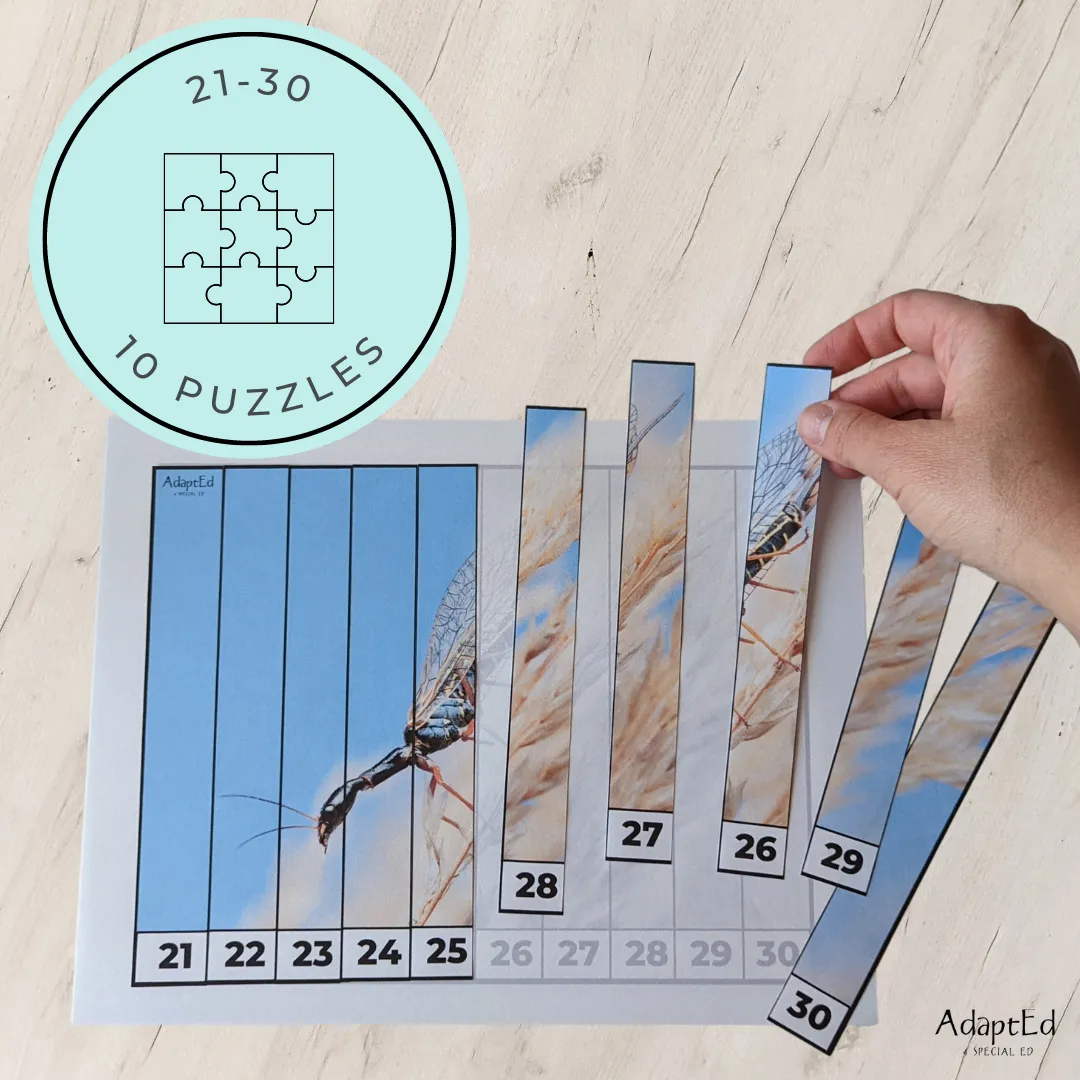 Bugs Insects Counting Puzzles: Counting 1-5 1-10 11-20 21-30 (Printable PDF)
