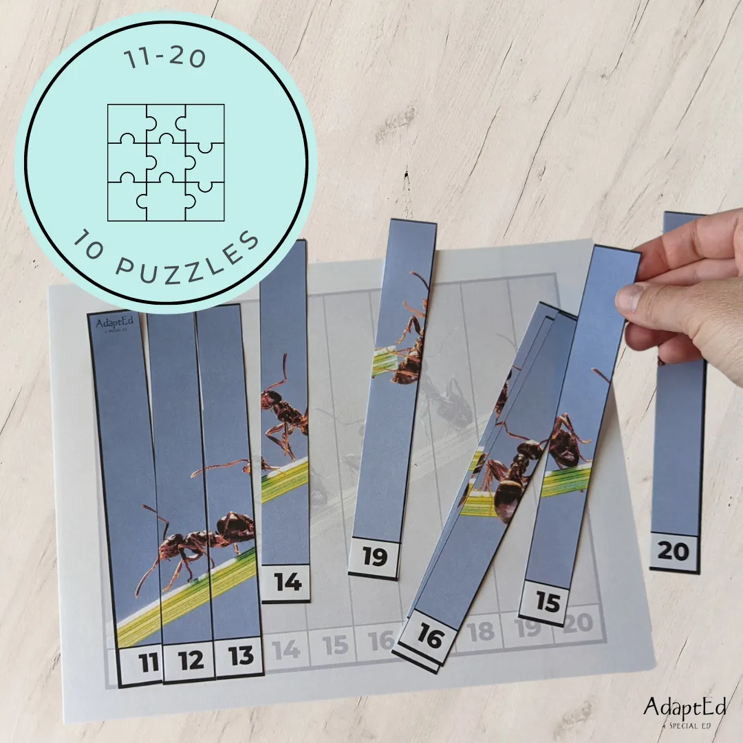 Bugs Insects Counting Puzzles: Counting 1-5 1-10 11-20 21-30 (Printable PDF)