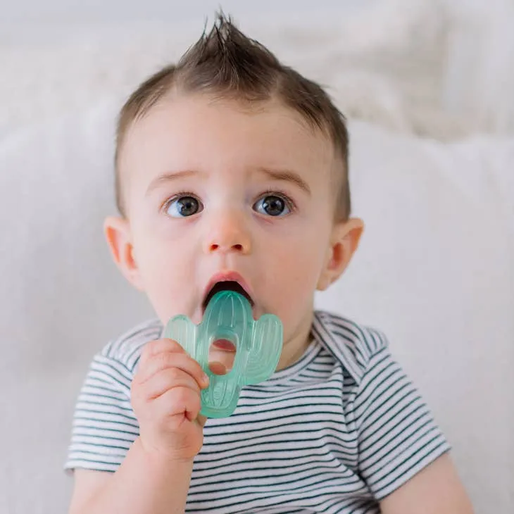 Dinosaur Water Filled Teethers 3pk S3088