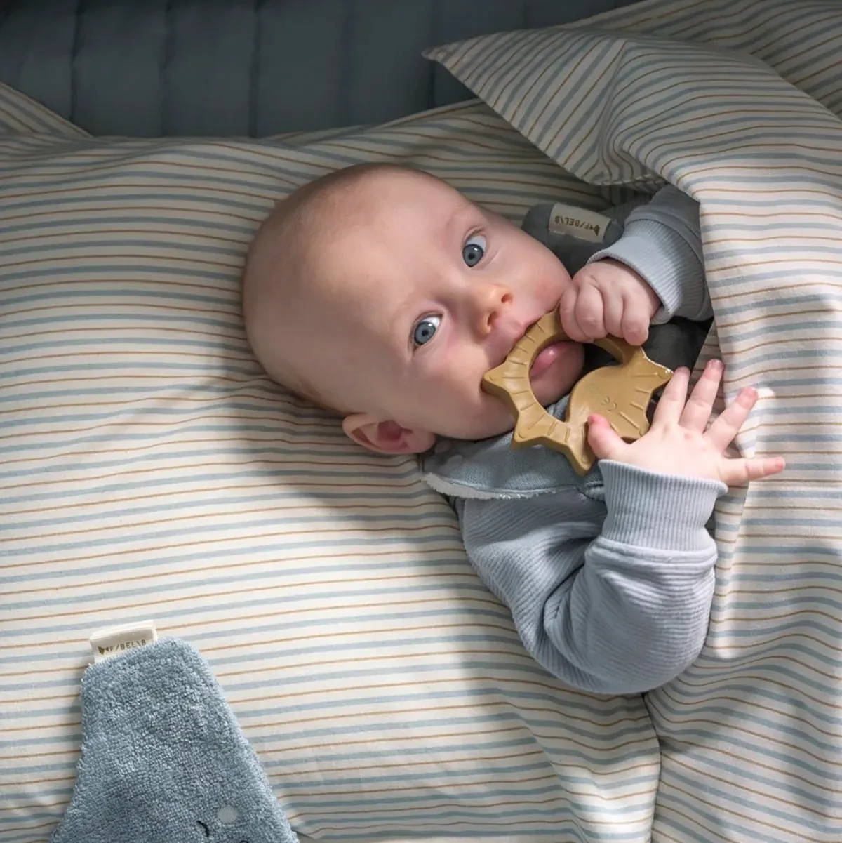 Fabelab space teethers