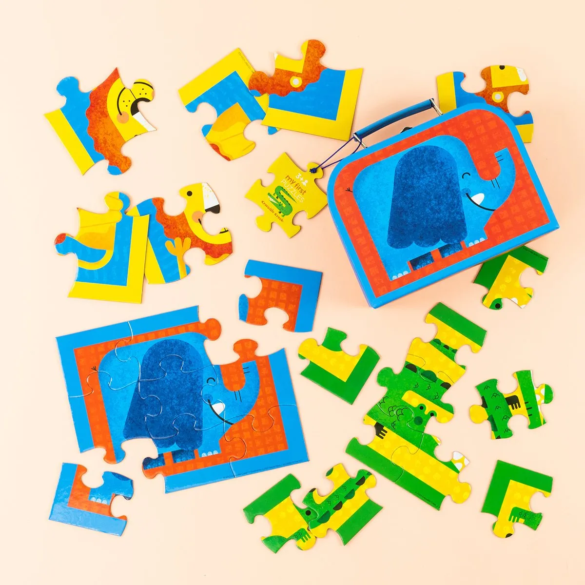 First Puzzle Case Jungle