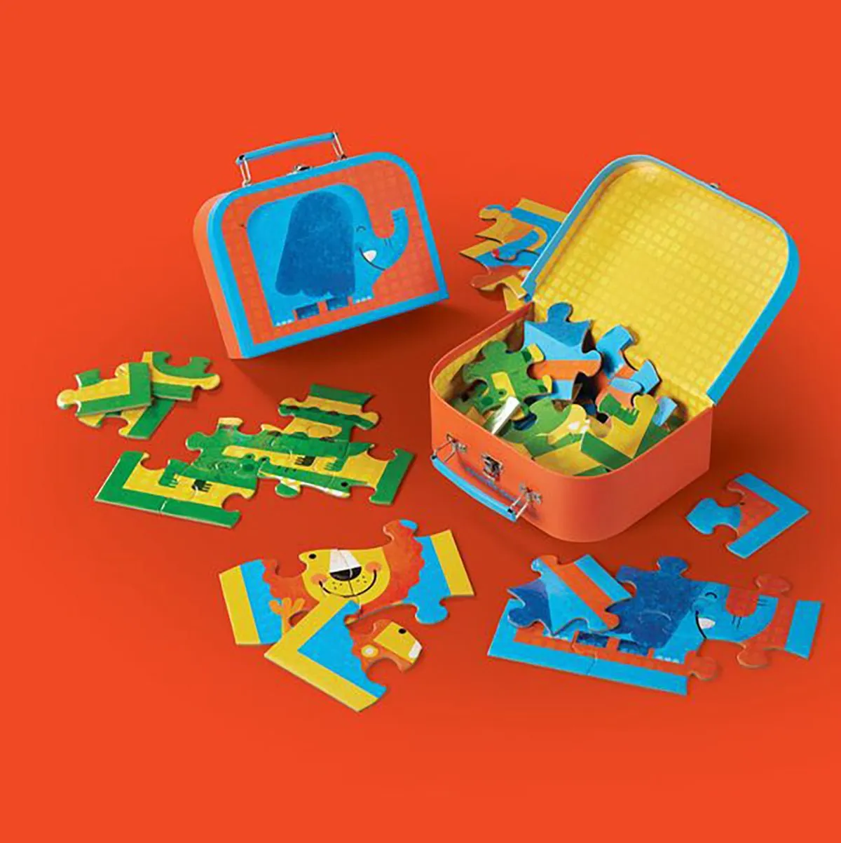 First Puzzle Case Jungle