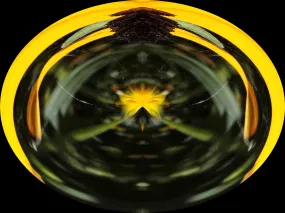 Fluent & Creative Expression Elixir - Greta's Elixirs by Teresa Rubiolo