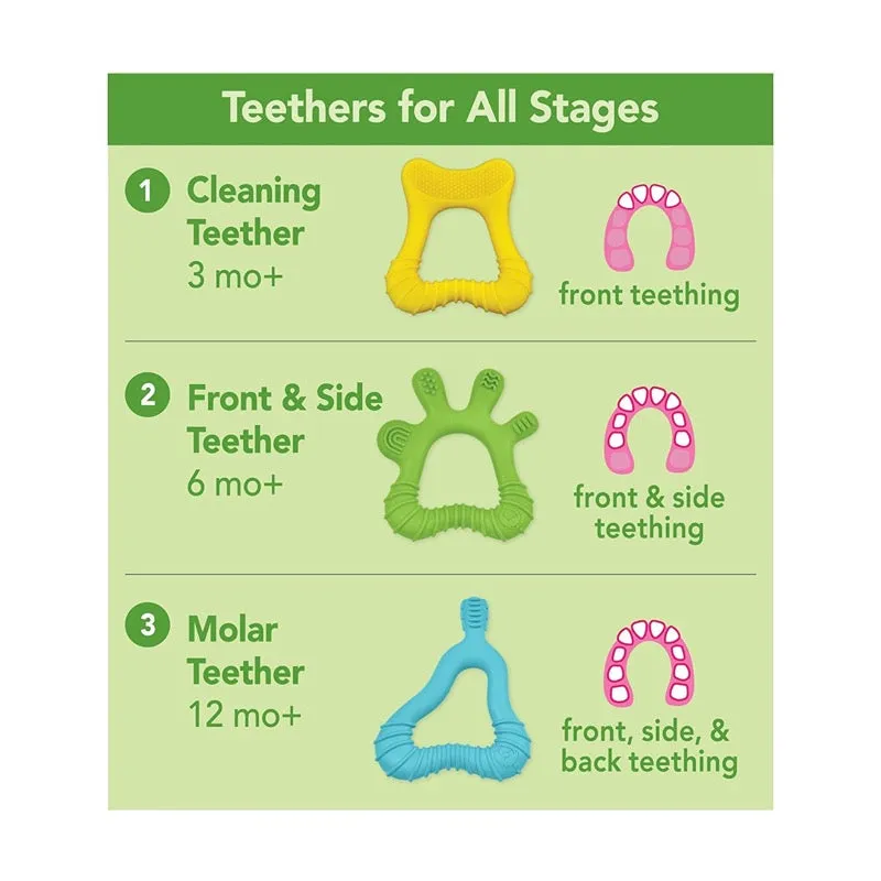 Green Sprouts Front & Side Teether