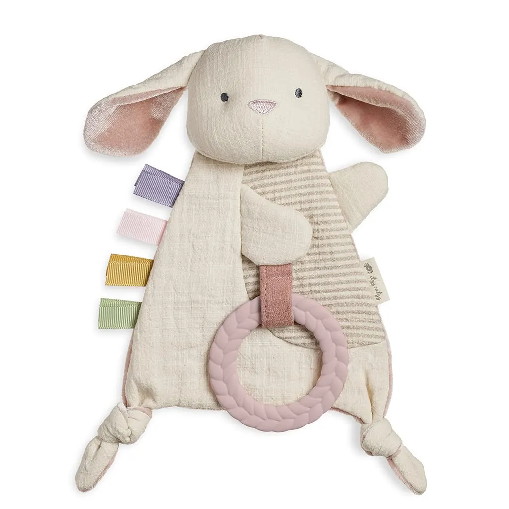 Itzy Ritzy Bitzy Crinkle Sensory toy