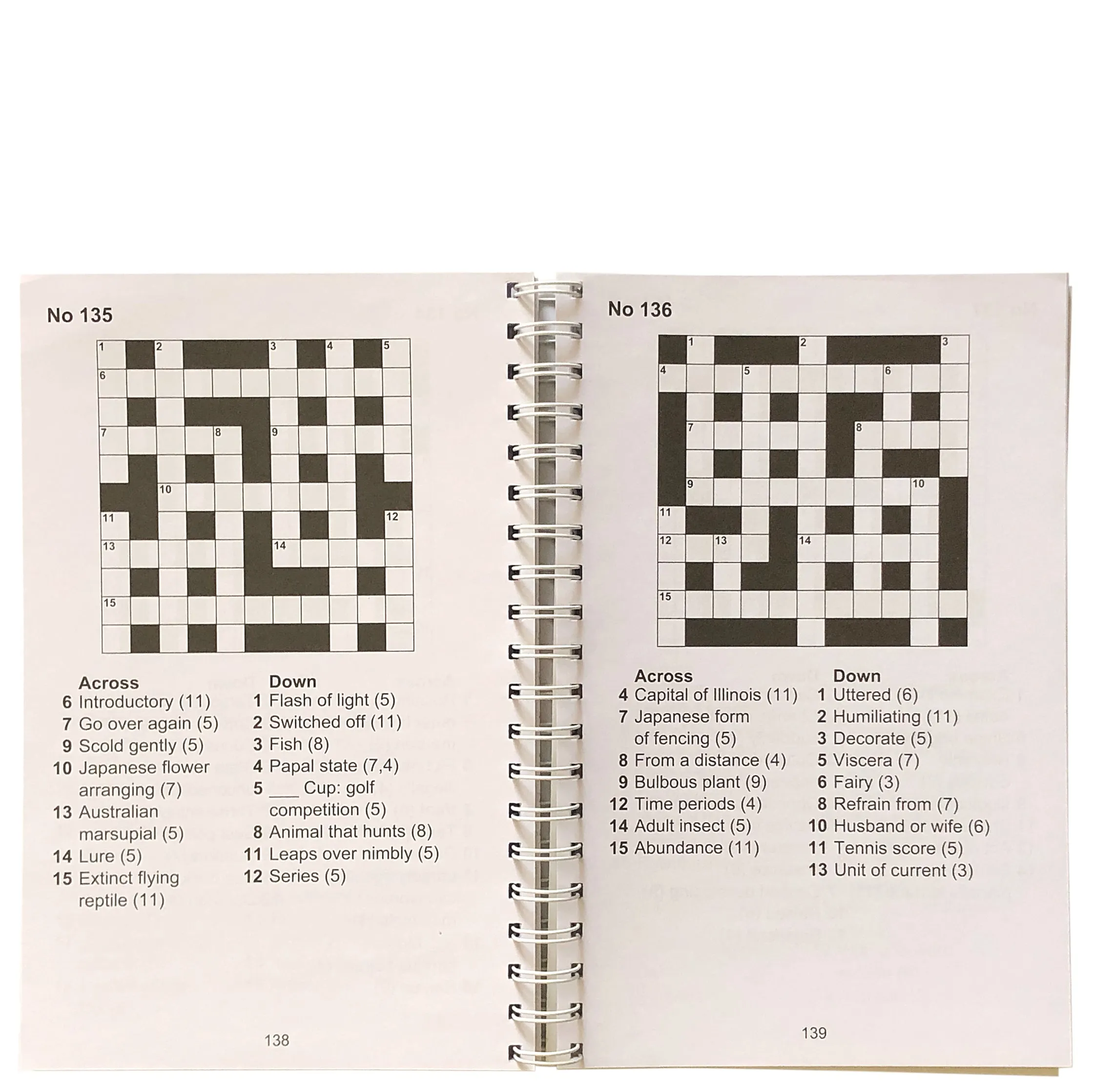 Large Print Crossword Puzzles