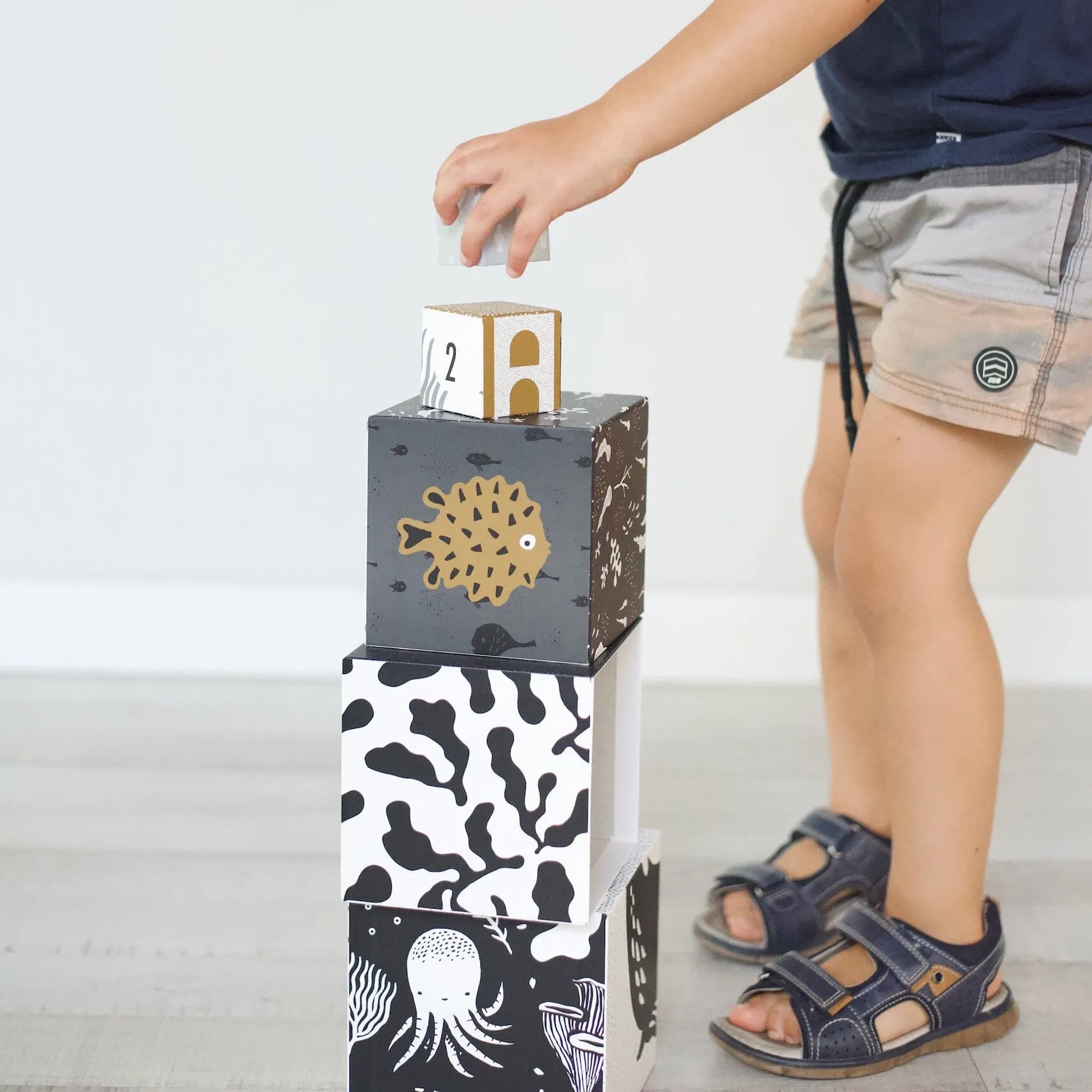 Nesting Blocks | Ocean Animals