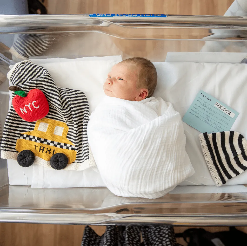 Organic Baby Gift Set | NYC Book, Doll, Lovey & 6 Rattles