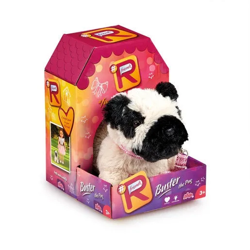 #Rfriends Buster the Pug