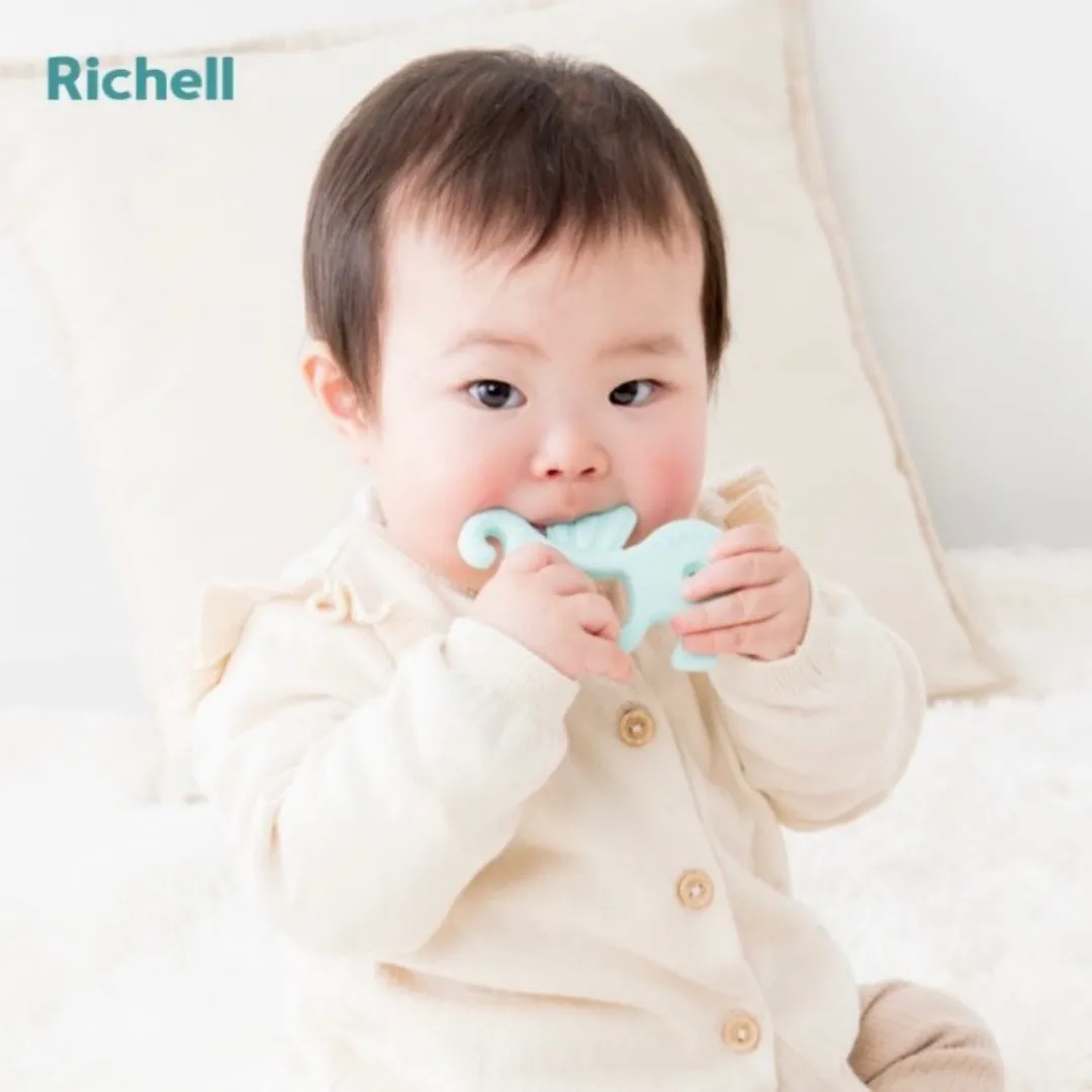 Richell Silicone Teether - 3m  (Whale/ Clownfish/ Seahorse/ Angelfish)