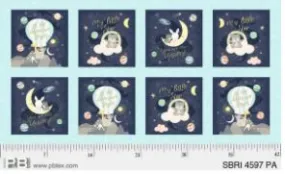 Star Bright Panel~Blue Boxes